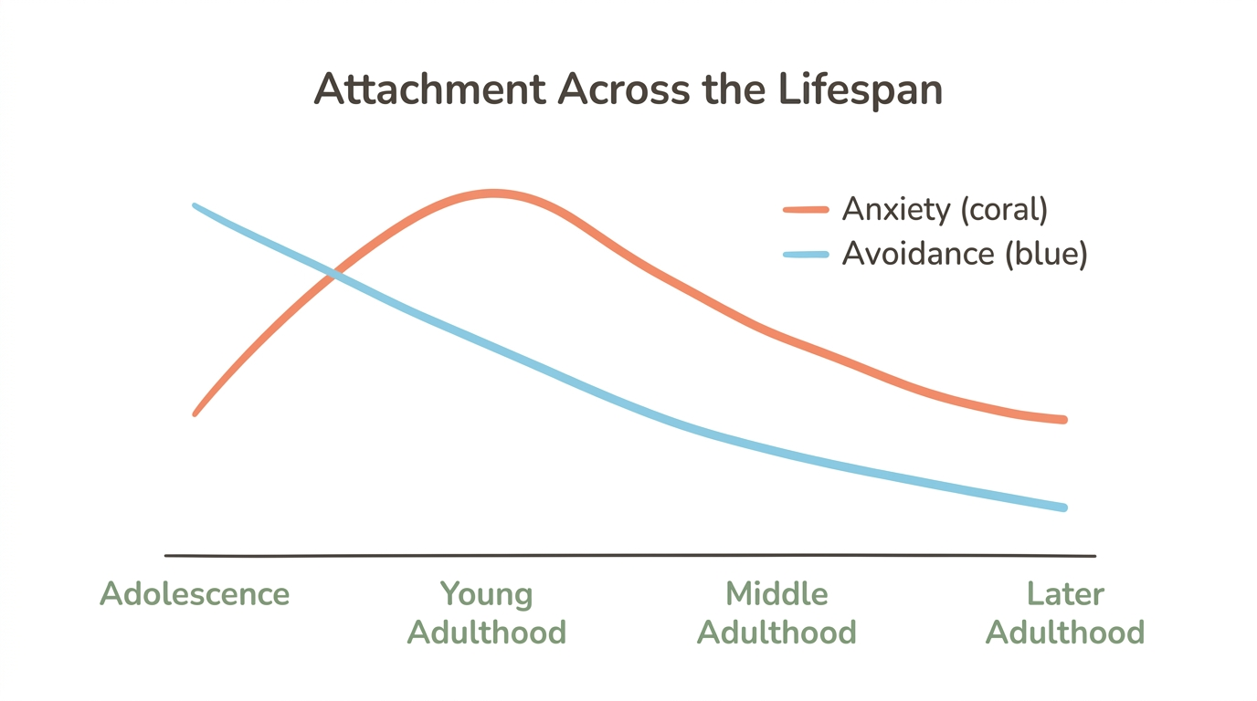 Diagram: Attachment Across the Lifespan