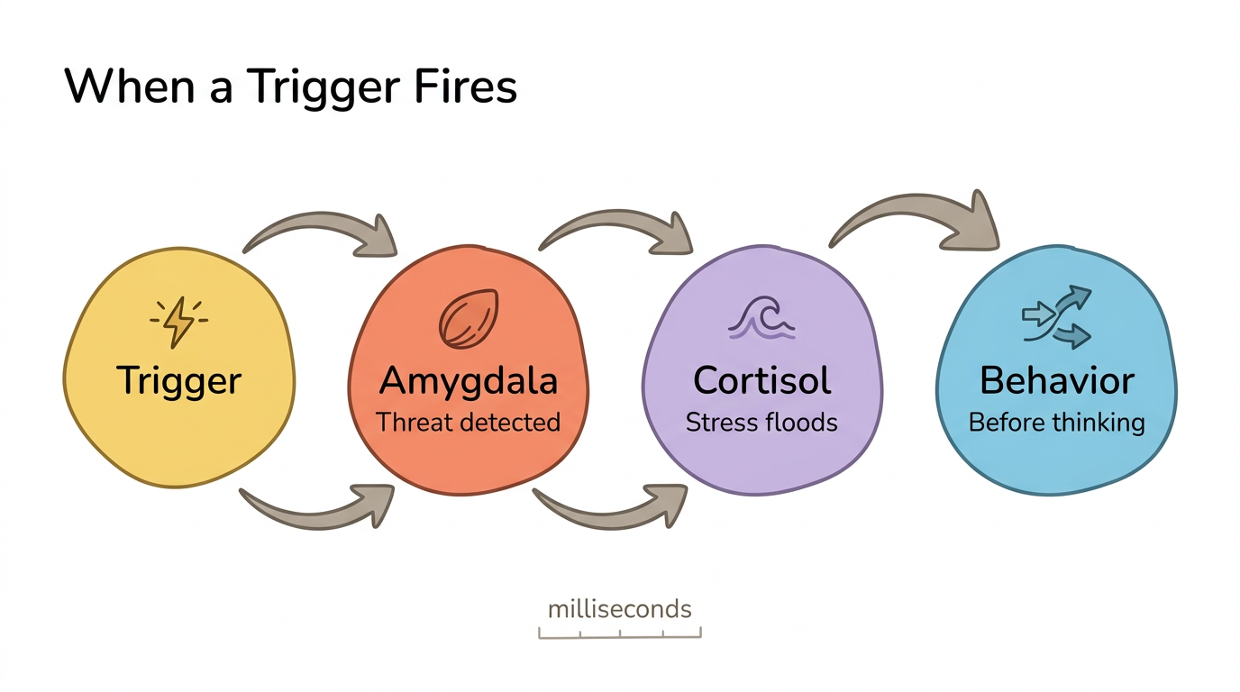 Diagram: The Triggered Brain: Neurobiological Cascade